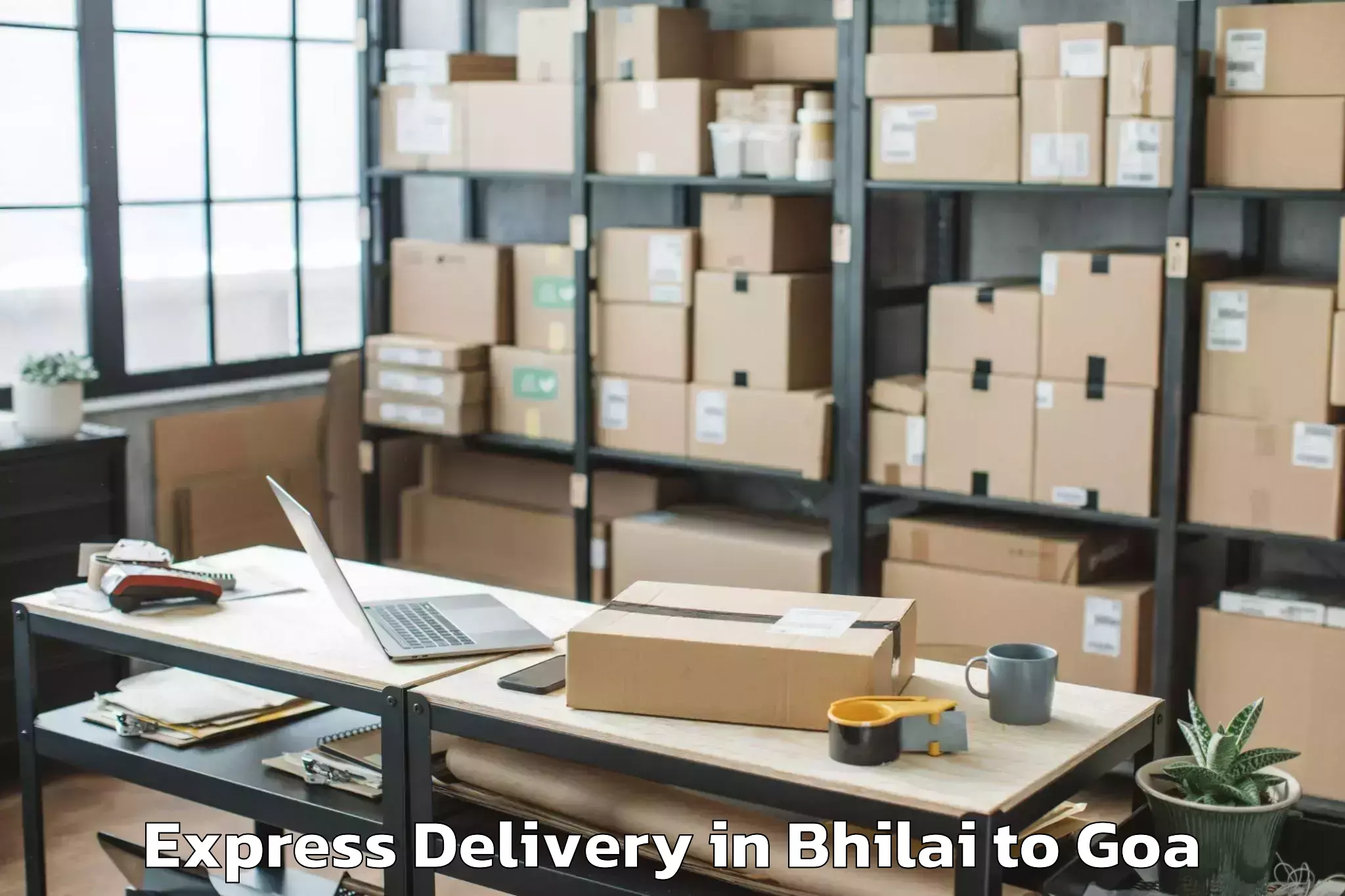 Get Bhilai to Mopa Express Delivery